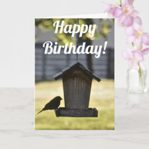 Birdfeeder Silhouette Carte d'anniversaire