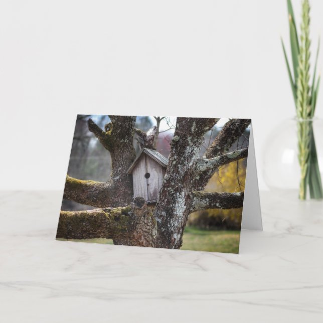 Birdhouse 4219 Framable greetibg Karte (Vorderseite)