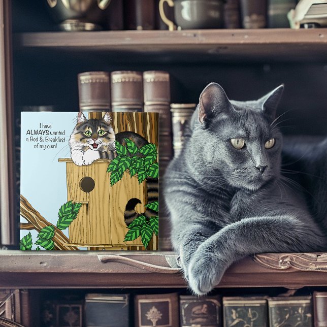 Birdhouse Bed Breakfast Cat Fliese (Von Creator hochgeladen)