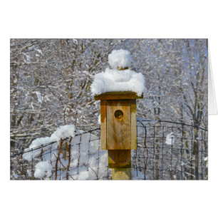 Birdhouse en hiver