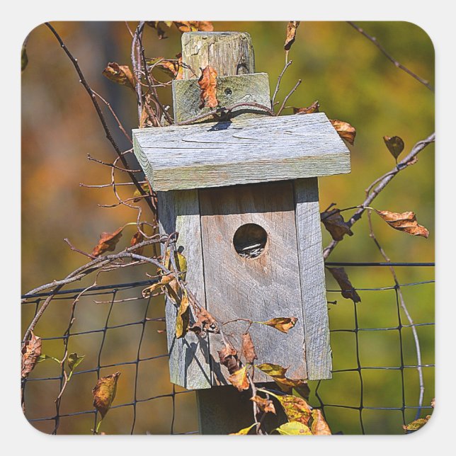 Birdhouse im Herbst Aufkleber (Vorderseite)