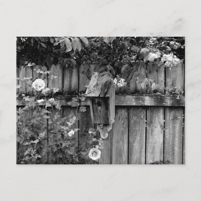 Birdhouse im Sommer Postkarte (Vorderseite)