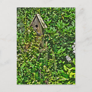 Birdhouse in Garden Postkarte