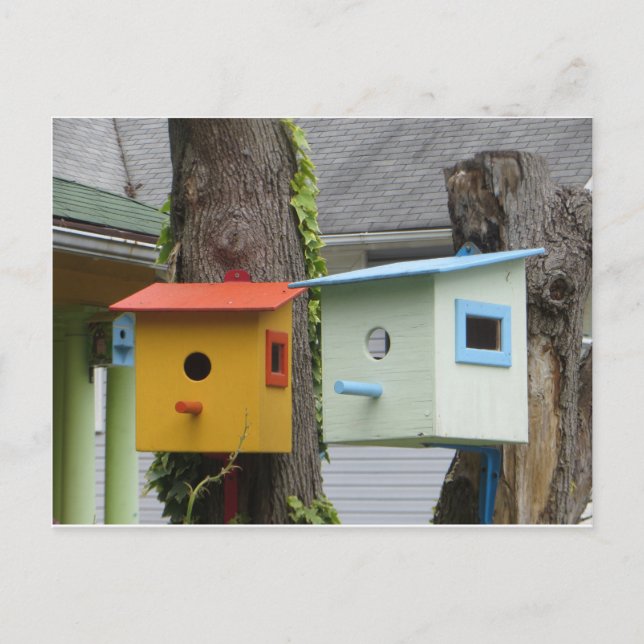 Birdhouses Postkarte (Vorderseite)