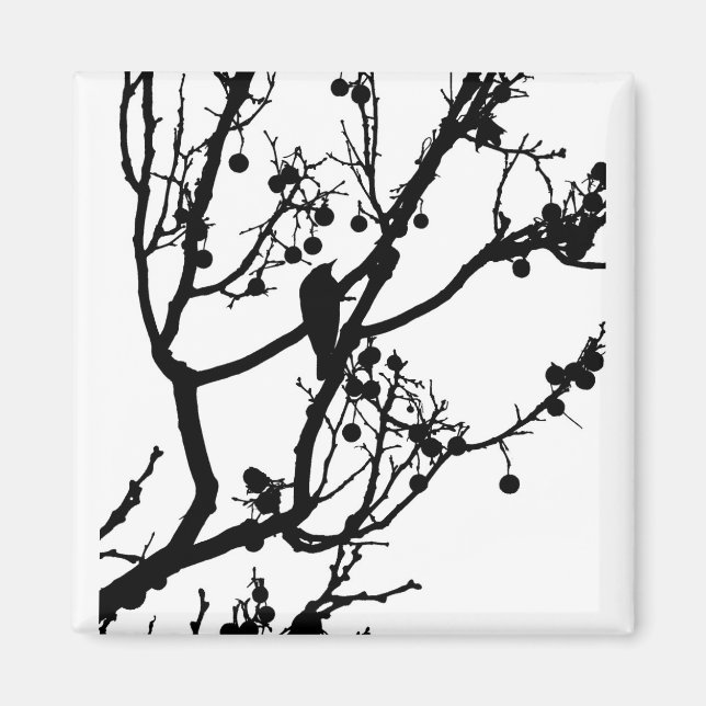 Birdie 4 magnet (Vorne)