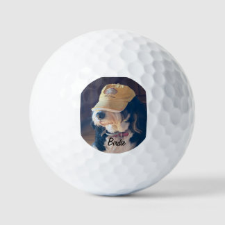 Birdie in einem gelben Golf-Hutgolfbälle Golfball