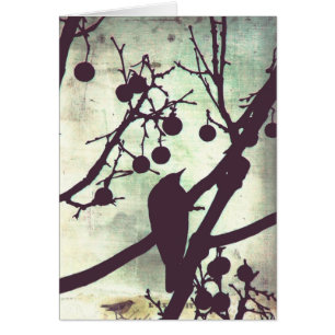 Birdie Jedes Anlasses