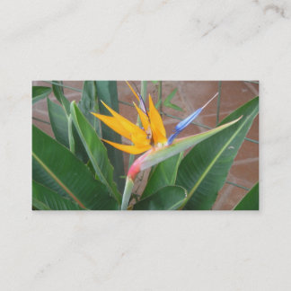 birdofparadise Visitenkarten Visitenkarte