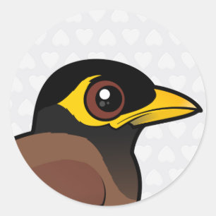 Birdorable Common Myna Runder Aufkleber