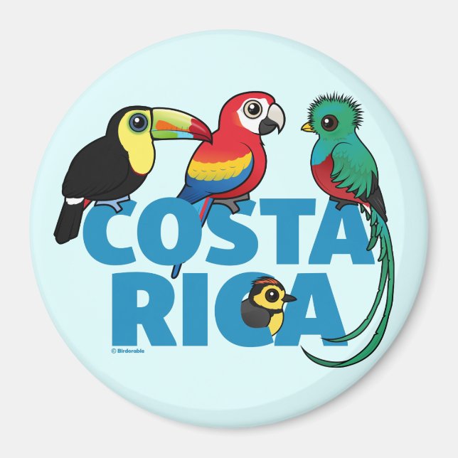 Birdorable Costa Rica Magnet (Vorne)