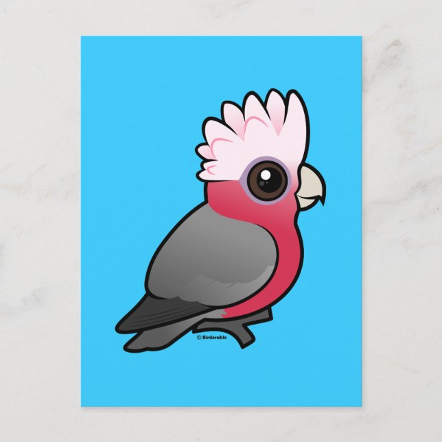 Birdorable Galah Postkarte (Vorderseite)