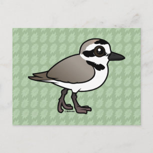 Birdorable Snowy Plover Postkarte