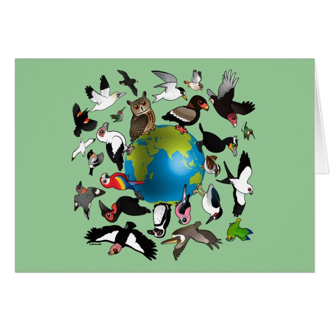 Birdorables auf der ganzen Welt (Vorderseite (Horizontal))