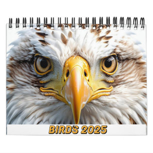BIRDS 2025 CALENDRIER TWITCHERS DÉLIGHT!
