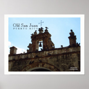 Birds at Old San Juan Puerto Rico Poster