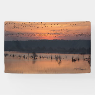 Birds at sunrise banner
