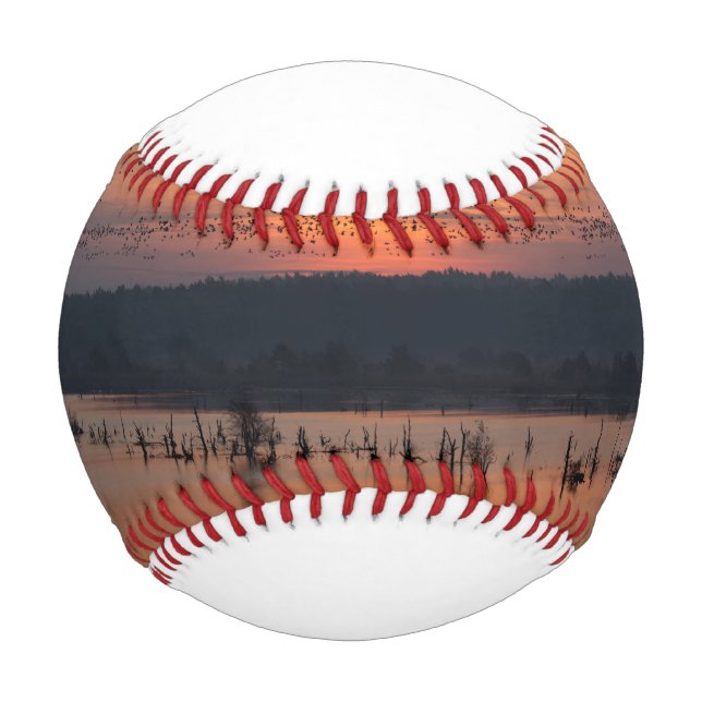 Birds at sunrise baseball (Vorderseite)