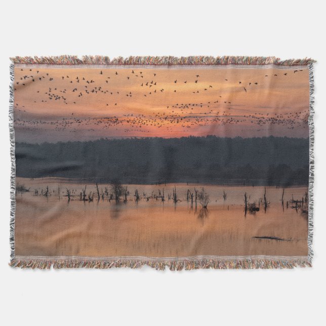 Birds at sunrise decke (Vorderseite)