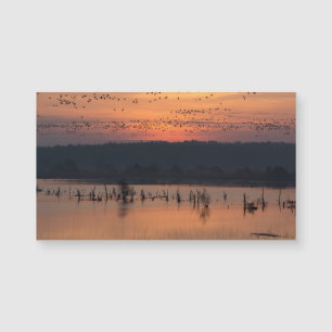 Birds at sunrise magnetkarte