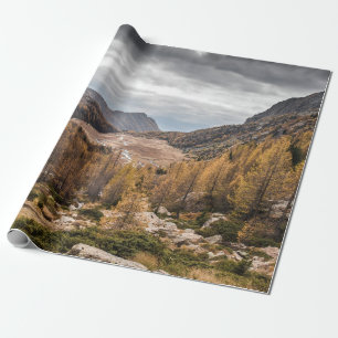 BIRD'S AUGENFOTOGRAFIE DER BÄUME IN DER NÄHE DES B GESCHENKPAPIER