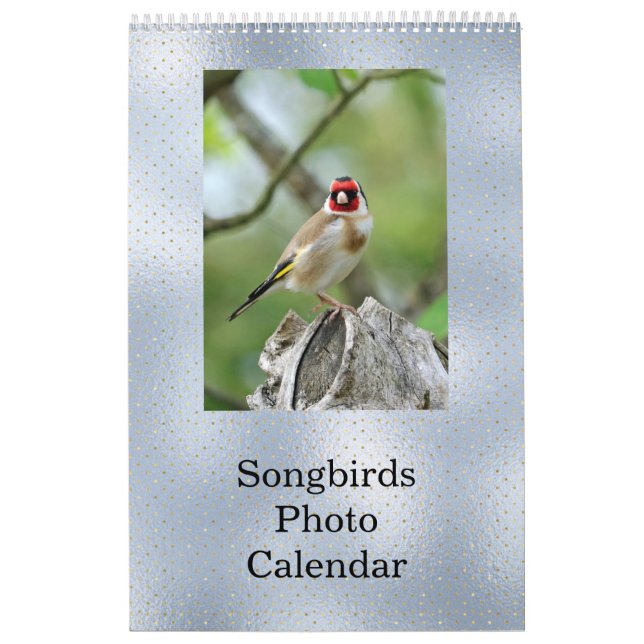 Birds Blue Foto individuell anpassbar Kalender (Titelbild)