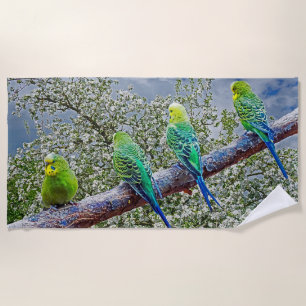 Birds - budgies strandtuch