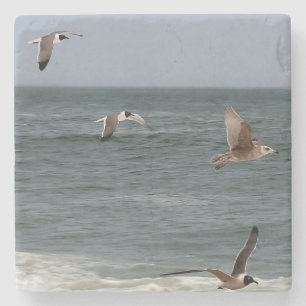 Birds In Flight by Shirley Taylor Steinuntersetzer