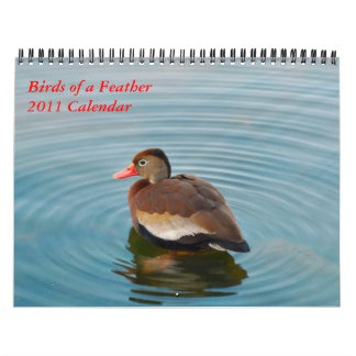 Birds of a Feather Kalender