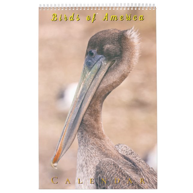 Birds of America Kalender (Titelbild)