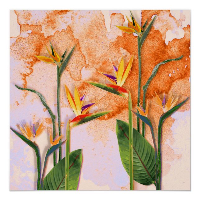 Birds of Paradise in Bloom Poster (Vorderseite)