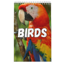 Birds Showcase Collection Wall Calendrier