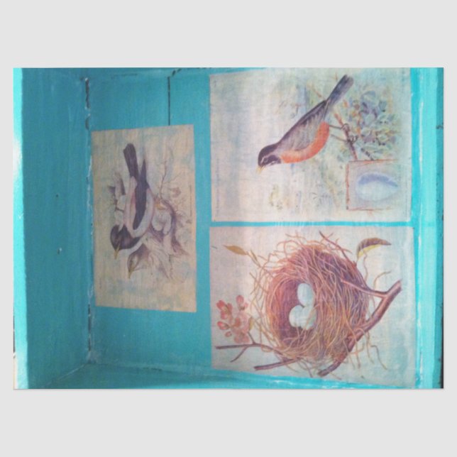 BIRDS TISSUE PAPIER 18 LB PAPIER (Vorderseite)