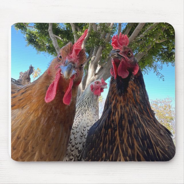 Birds with Attitude Mouse Pad Mousepad (Vorne)