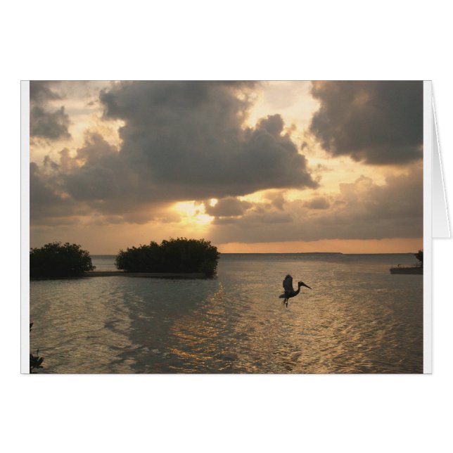 birdsun.jpg (Vorderseite (Horizontal))