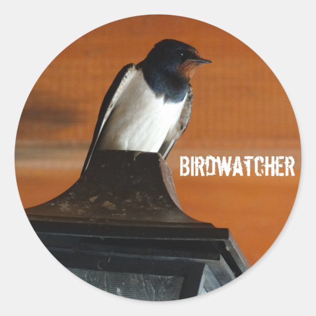 Birdwatcher Swallow Foto Classic Round Sticker (Vorderseite)