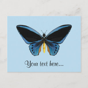 Birdwing Butterfly Postkarte