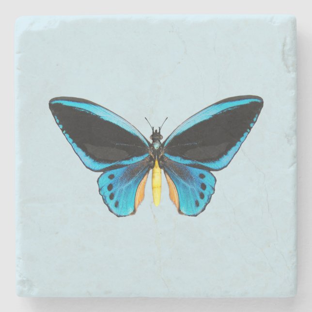 Birdwing Butterfly Steinuntersetzer (Vorderseite)
