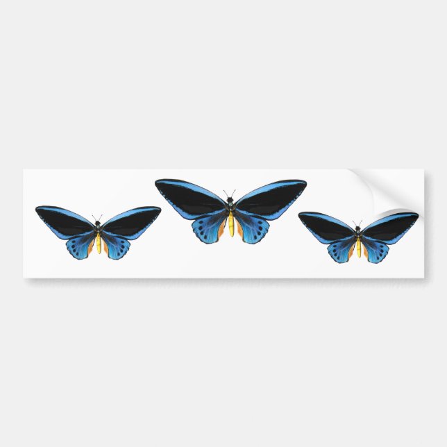 Birdwing Schmetterling Autoaufkleber (Vorne)