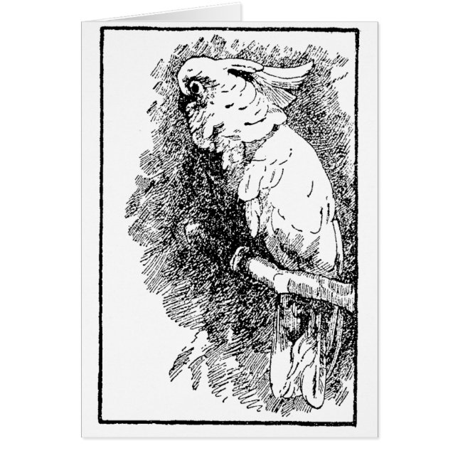 Birdy (Vorne)