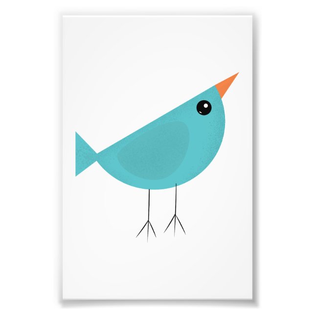 Birdy Fotodruck (Vorne)