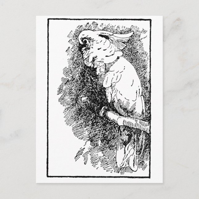 Birdy Postkarte (Vorderseite)
