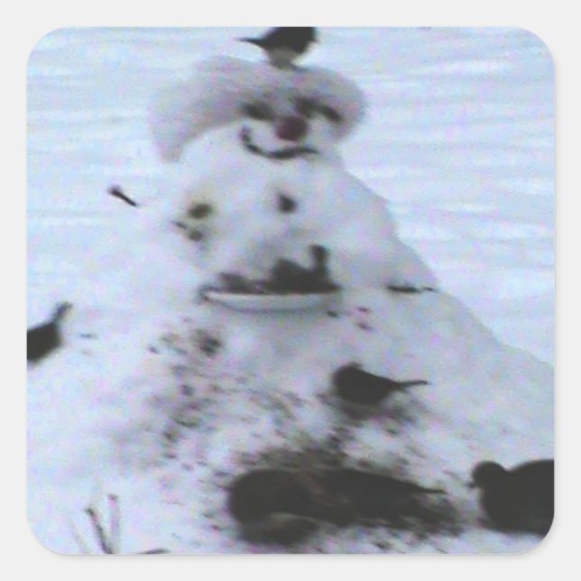 Birdy Quadratischer Aufkleber (Vorderseite)