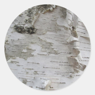 Birke Baum Bark Schälte Altes Foto Kunst Runder Aufkleber
