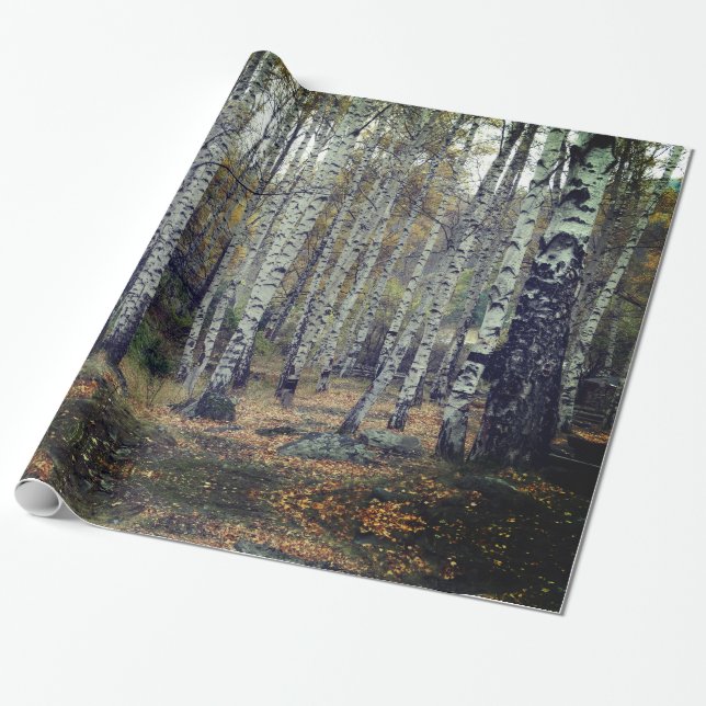 Birke Forrest glattes Packpapier, 30 in x 6 ft Geschenkpapier (Ungerollt)