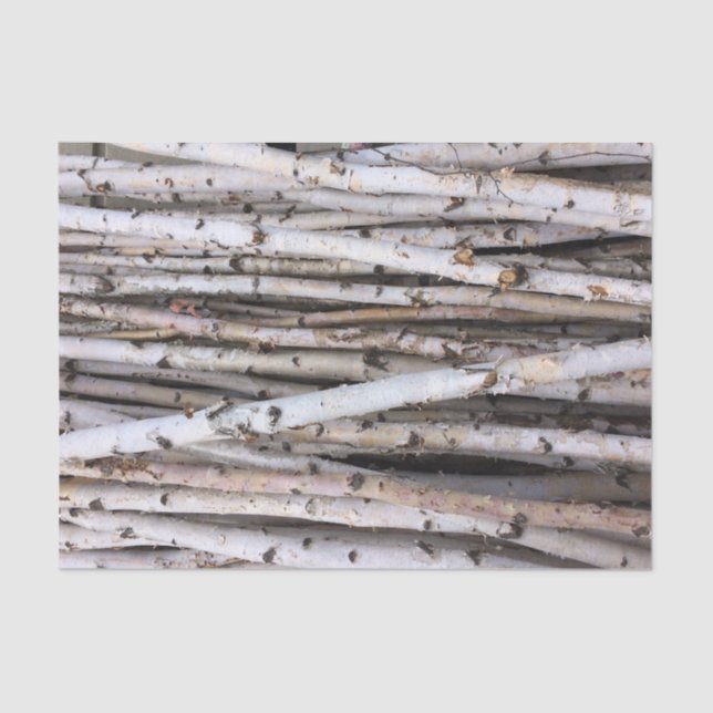 Birke Seidenpapier (Vorderseite)