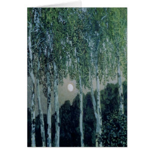 Birken-Bäume