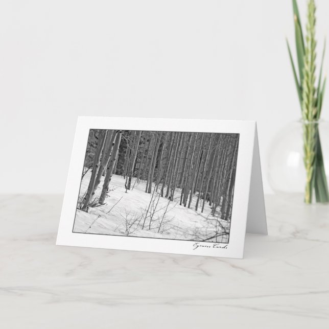 Birken-Bäume in Schnee-Schwarzem u. im Weiß Karte (Vorderseite)