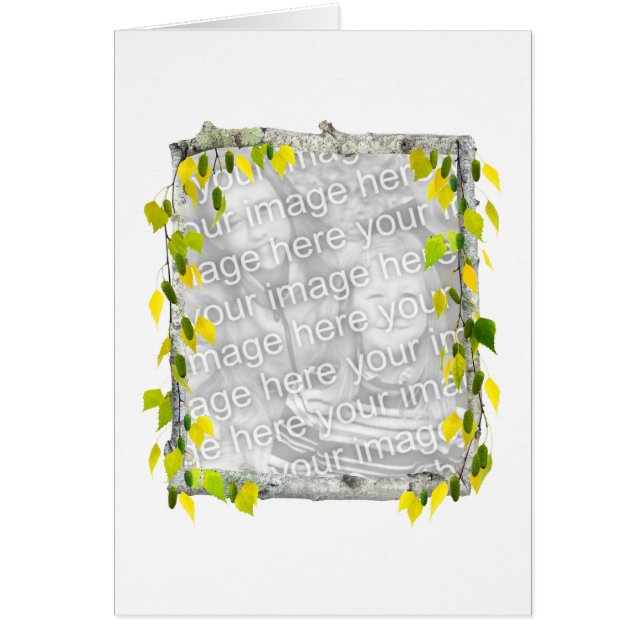 Birken-Foto-Karte (Vorne)