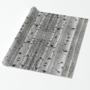 Birken Geschenkpapier
