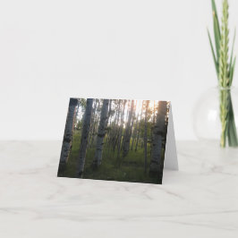 Birken morgens karte